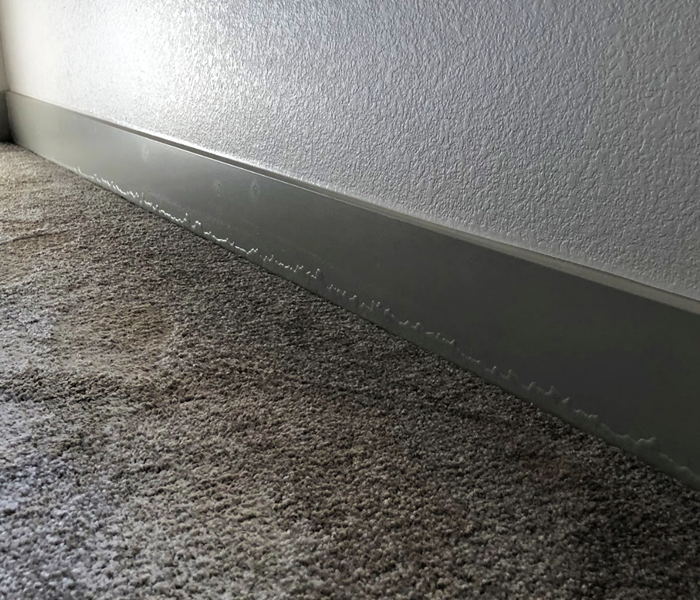 a picture of carpet near the baseboards