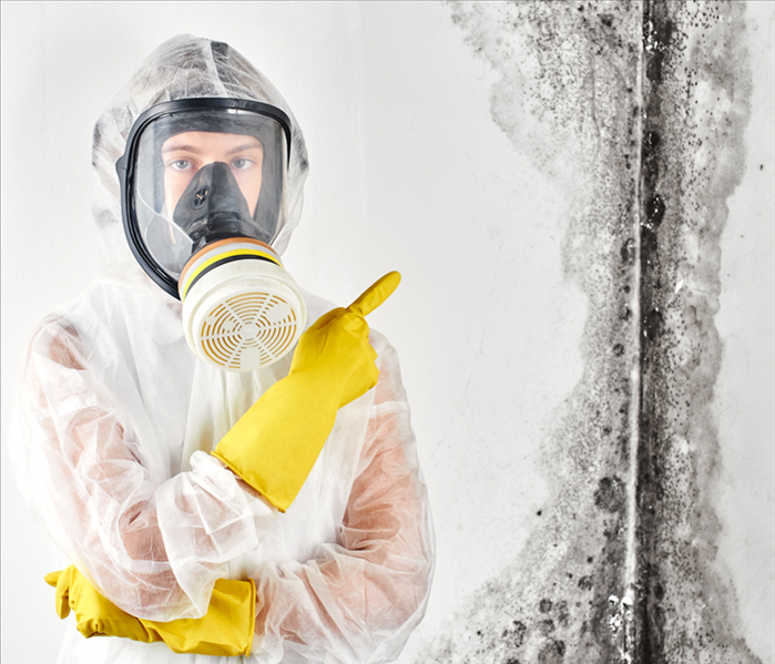 Black mold growth on wall, technician wearing a PPE suit