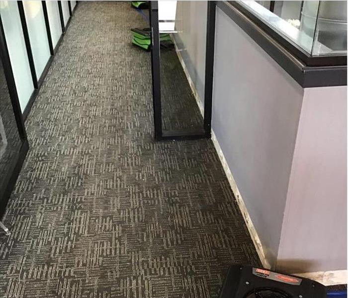 Air movers placed on a carpet of an office