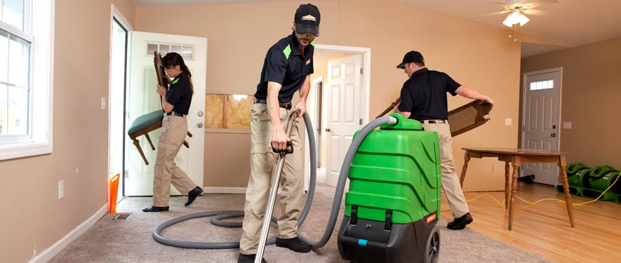 Longmont, CO cleaning services